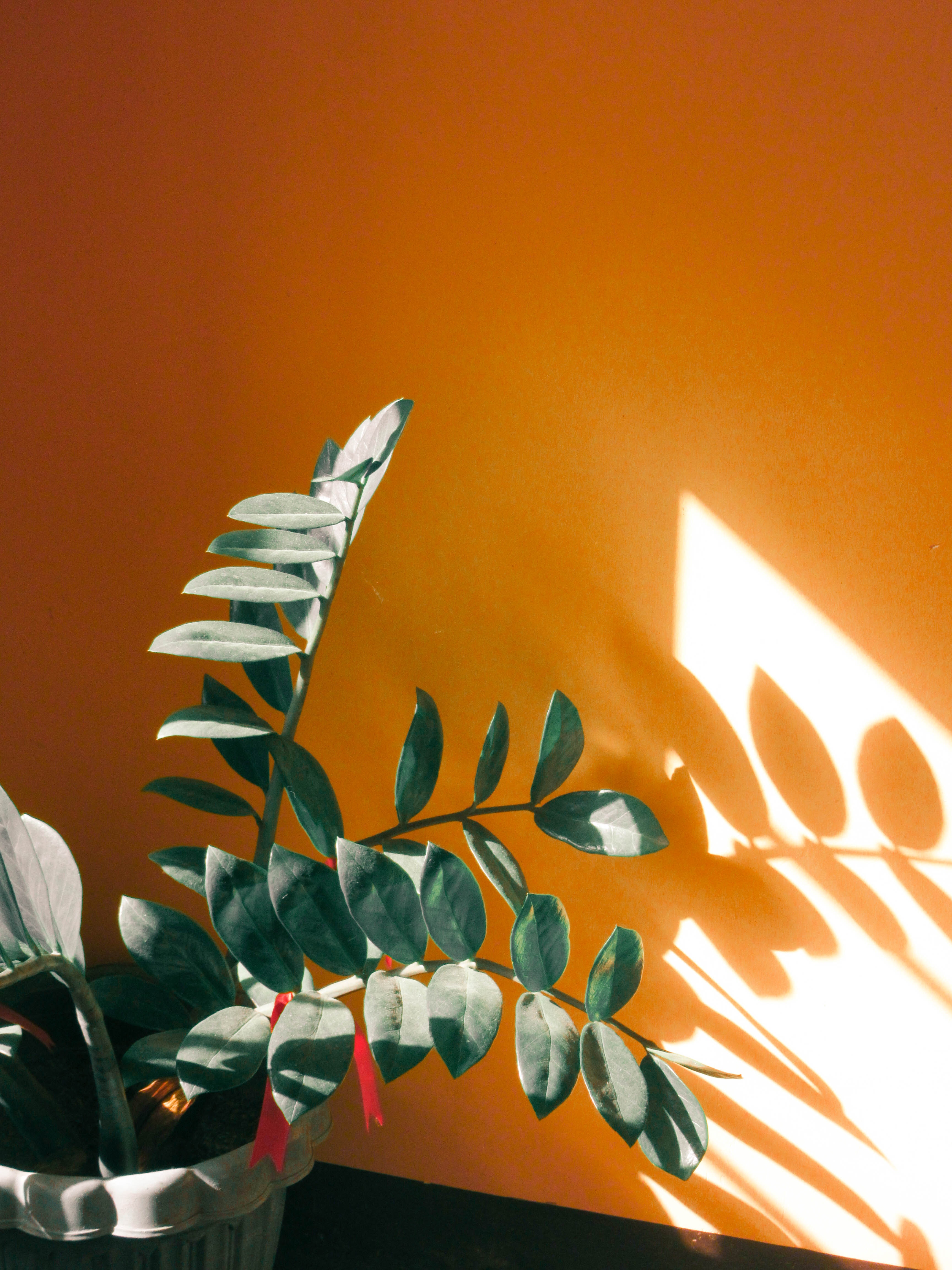 Description of image.